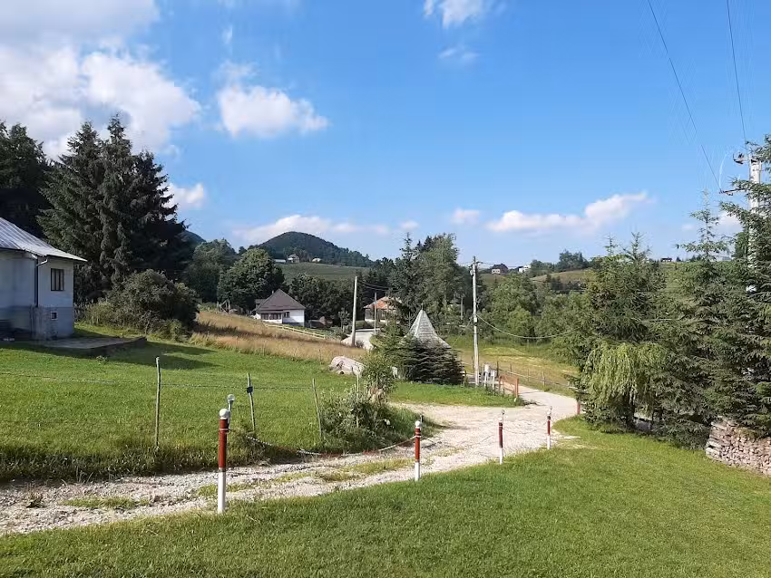 Garofita Pietrei Craiului CIOCANU