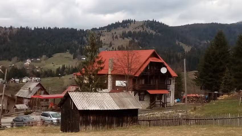 Giorgio srl Vila Focus