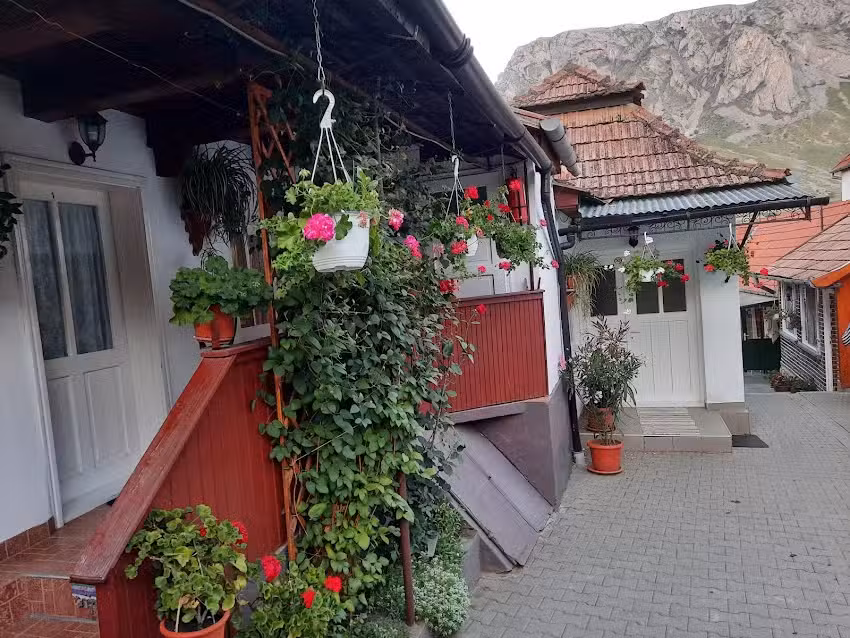 Gizella Panzi&oacute;