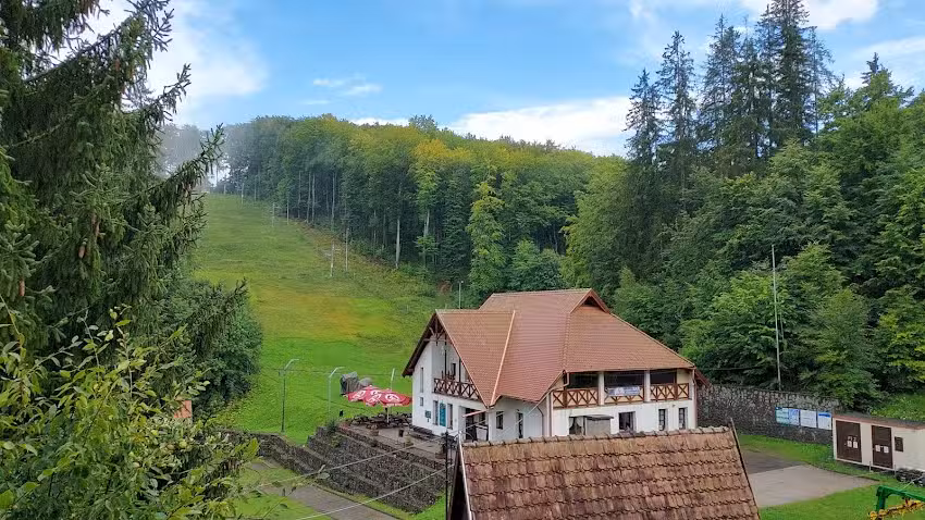 G&ouml;rgő panzi&oacute;