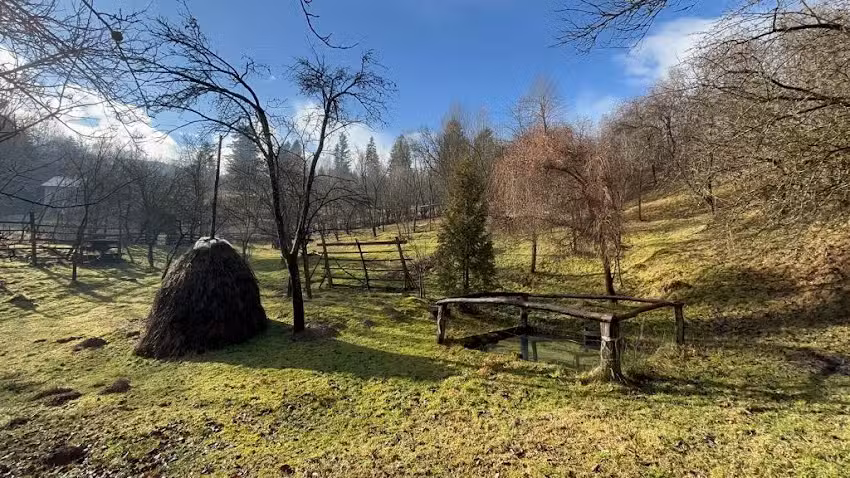 Gradina lui Vasile Săceanu