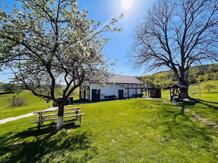 Crudo pi&ugrave; grosso