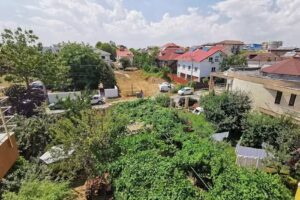 Хостел Адонис