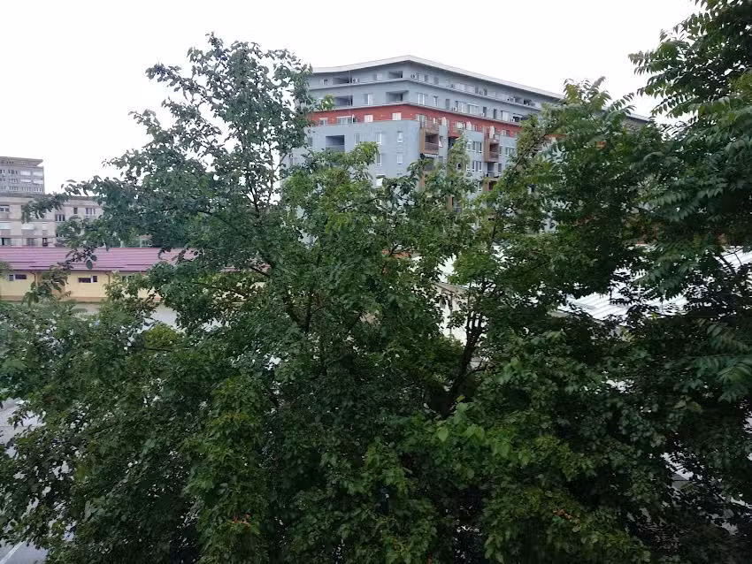 Auberge Moara cu Noroc