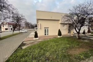 Хостел Палтинис