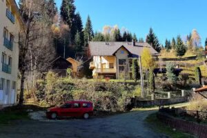 Hotel Codrin