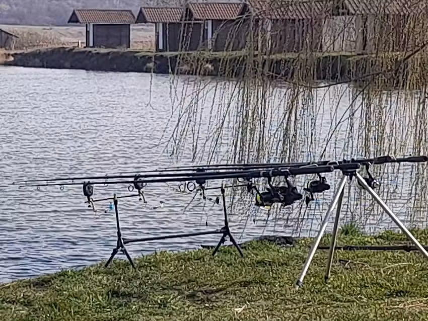 Faurei Pond &ndash; &bdquo;Bei David&ldquo;