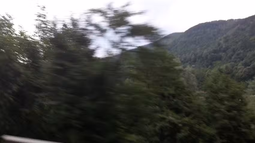 Јоанини анђели