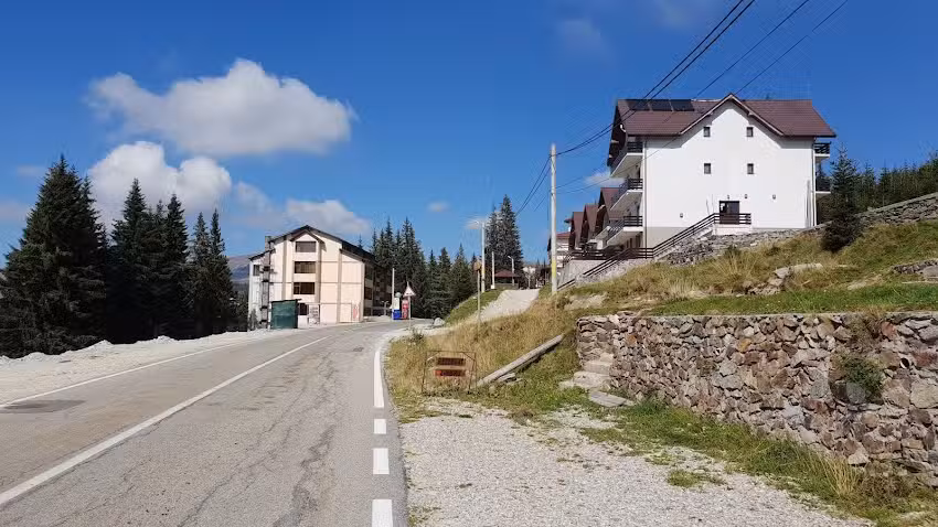 Kallisto