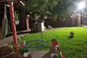 La 4 Roti de la Căruță