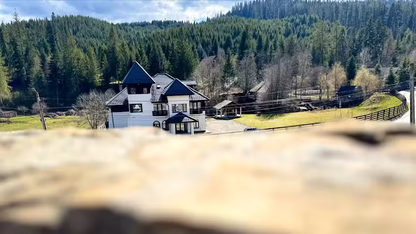 При първите