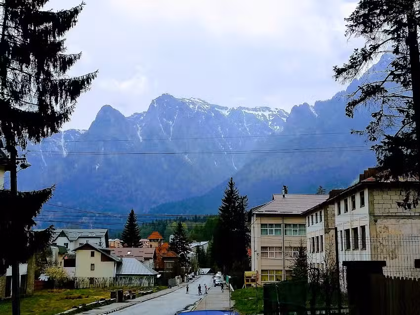 Presso i tronchi della nonna