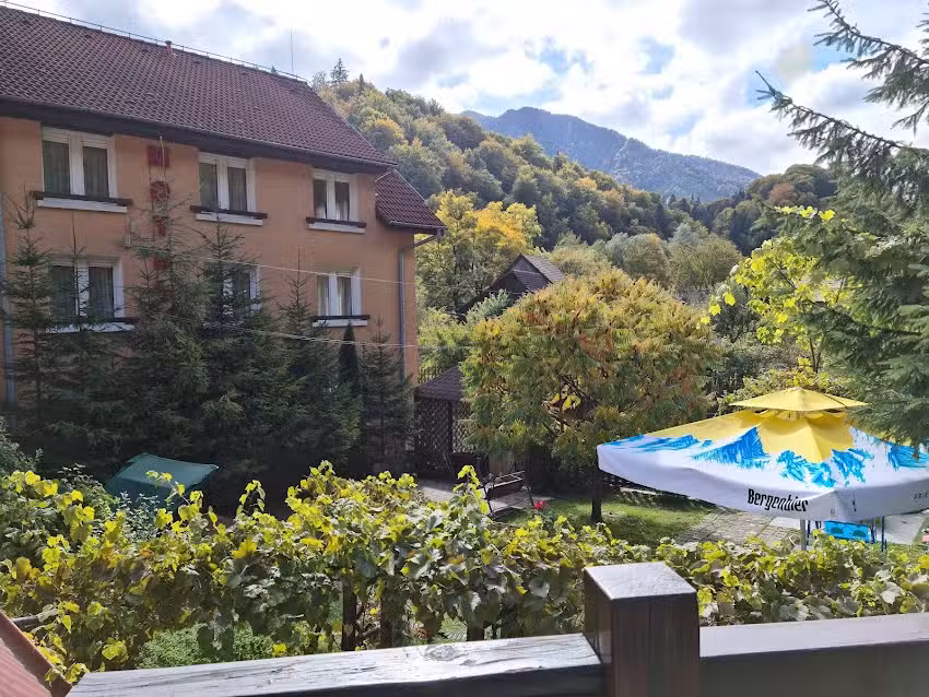 У чвориштима