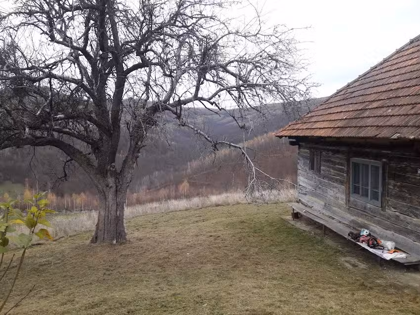 Im bewachten Haus