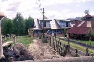 La Ferma Nagy &ndash; Campeggio e Ferienwohnungen auf dem Bauernhof a Maramureș