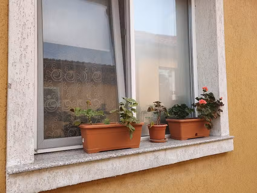 Al nido della tartaruga