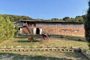 Близо до кошарата