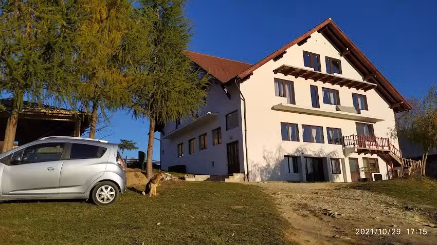 Lavinius