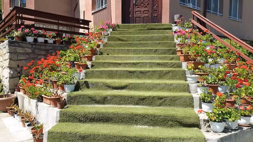 Lorena &ndash; Casa cu Flori