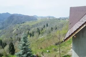 Hajs&uuml;t&eacute;s