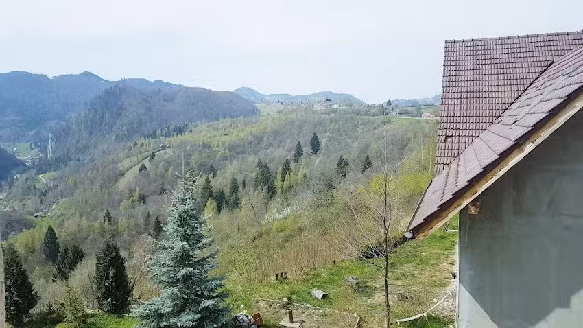 Hajs&uuml;t&eacute;s