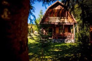 Medvebocs Vend&eacute;gh&aacute;z