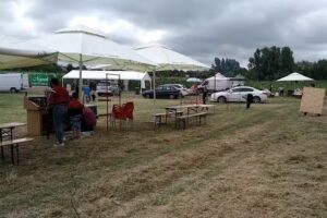 Micskei Bikar&eacute;t