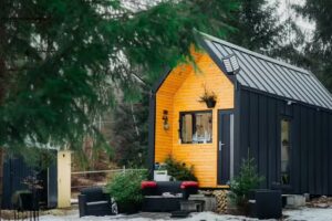 Мини Мано Хоум