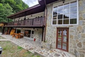 Планинска риба