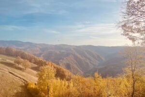 Budrala foly&oacute;