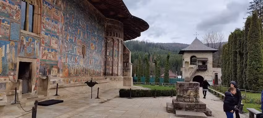 Воронећка област