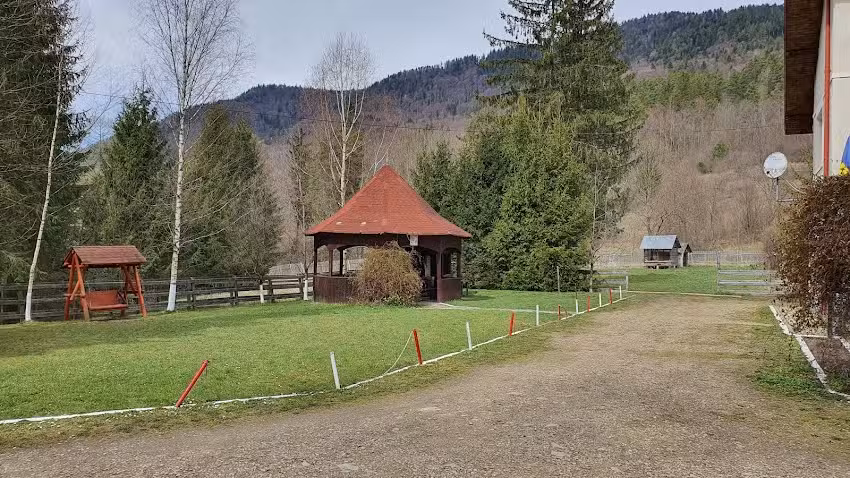 La tangenziale della foresta di Vadul Oii