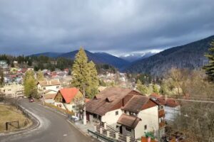 Opus View