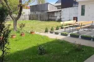 Парадокс Х