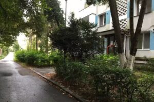 Peles Green Apartman &eacute;s Zongora