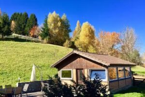 Pension Vila Iancului &ndash; Unterkunft in Bran