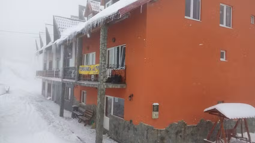 Pensiunea Alpin
