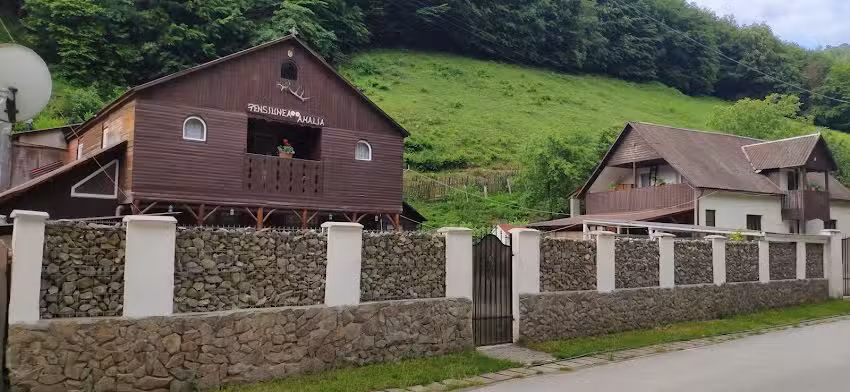 Къща за гости Амалия