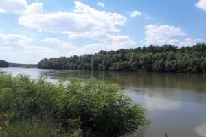Pensione Andreea