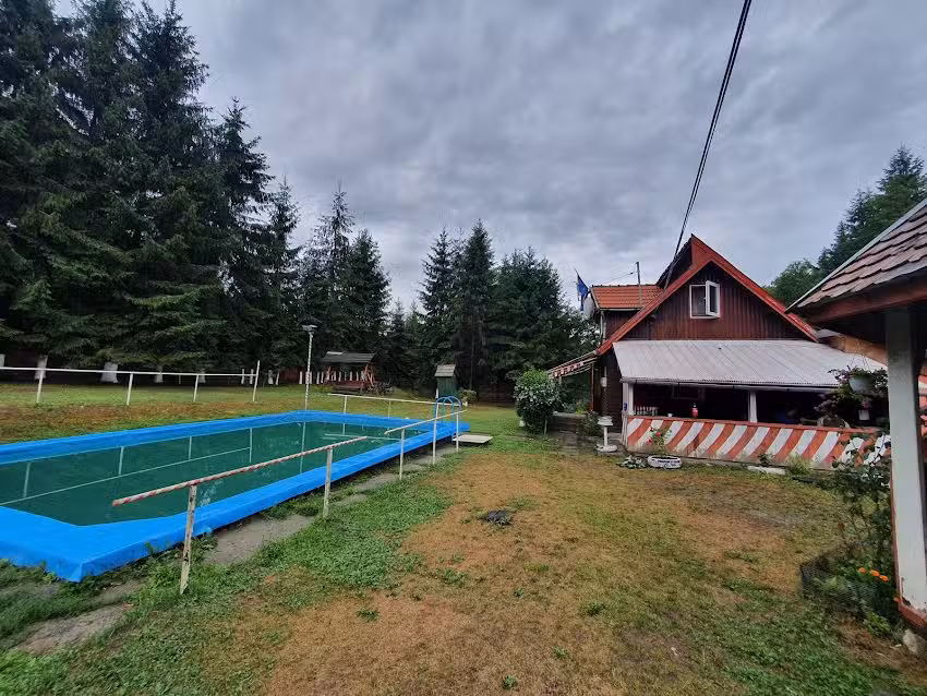 Pensiunea Bradul