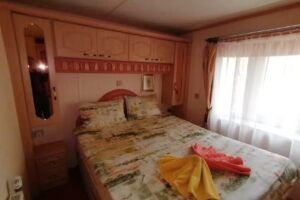 Rente – Silber-Tanne