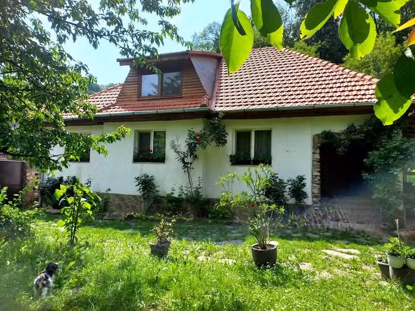 Pensiunea Casa Maximus