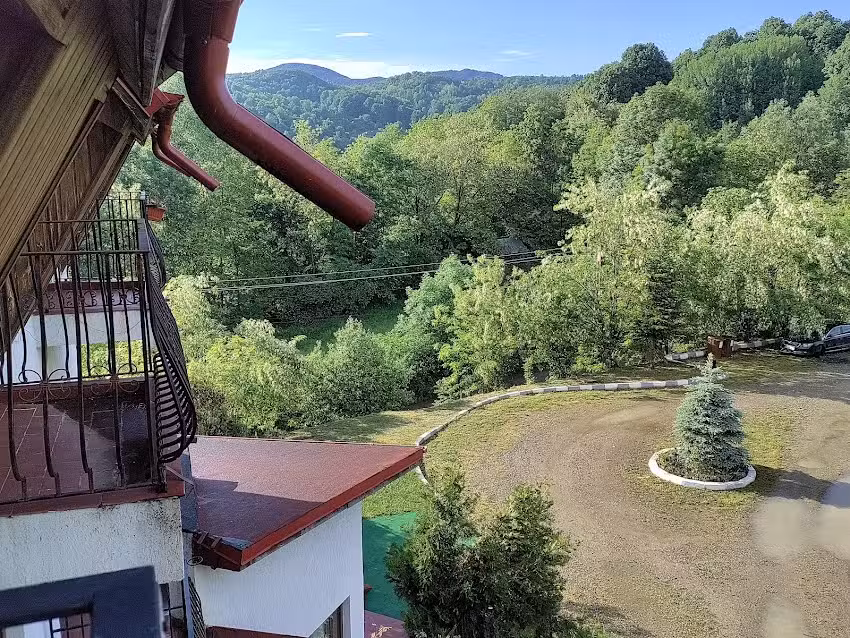 Maison d&rsquo;h&ocirc;tes Forest House