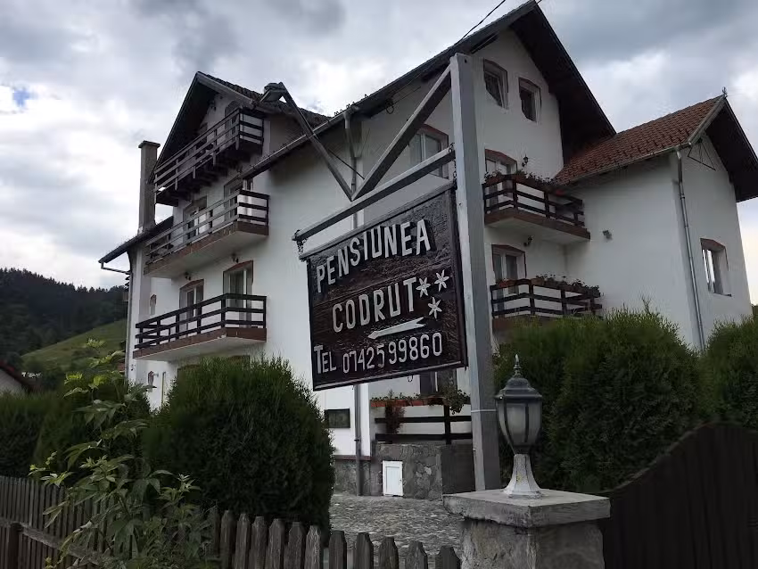 Codrut Vend&eacute;gh&aacute;z