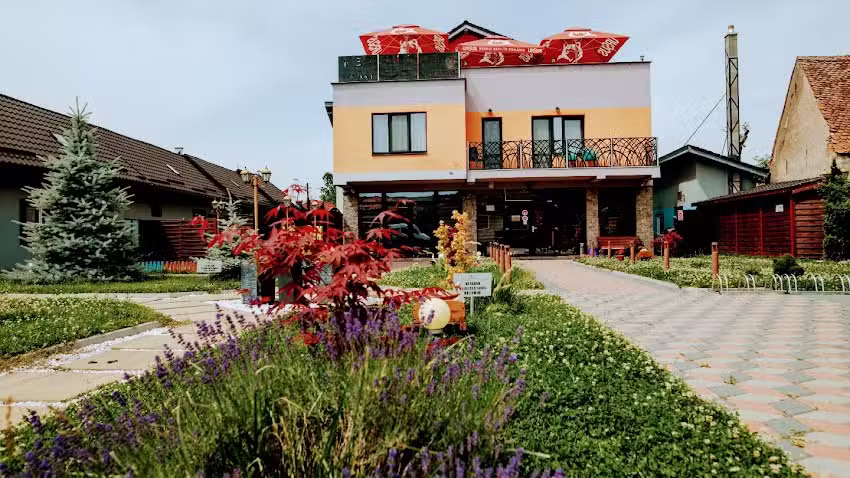 Пансион Комфорт Морошану