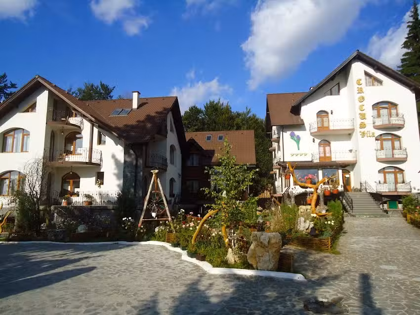 Crocus G&auml;stehaus