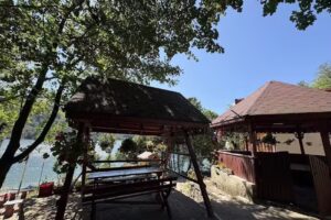 Diana Vend&eacute;gh&aacute;z