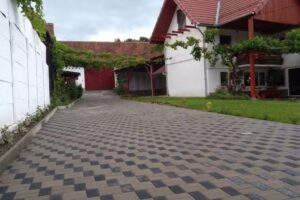 Pensiunea Flori Sibiel