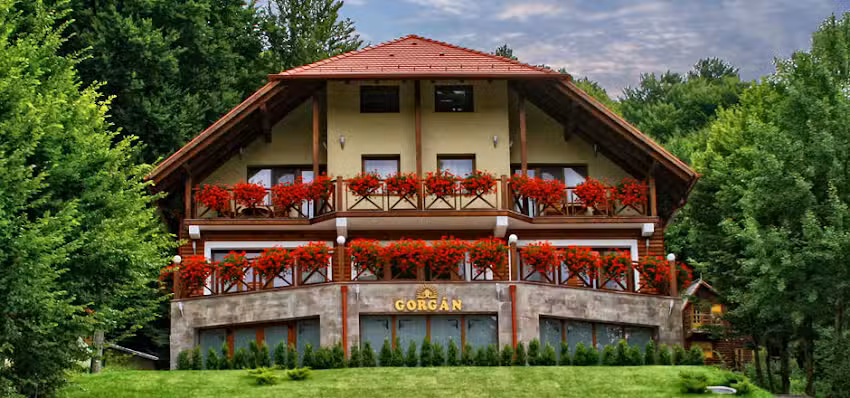 Pensiunea Gorgan