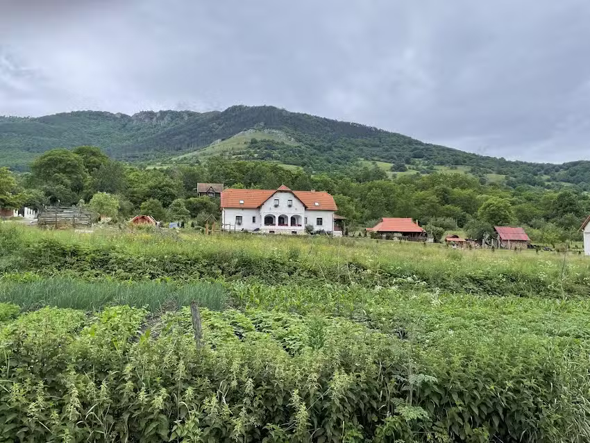 Pensiunea H&aacute;mor Panzi&oacute;